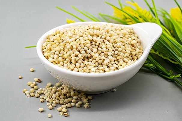 Sorghum